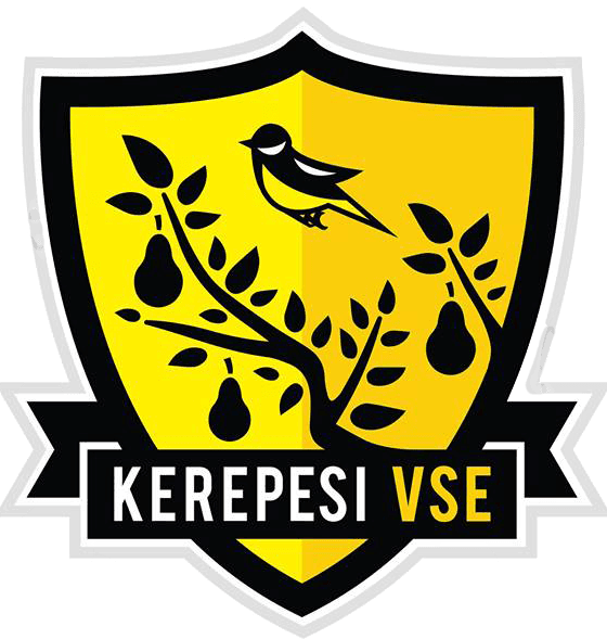 KVSE Logo